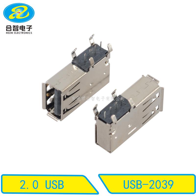 USB 2.0-USB-2039