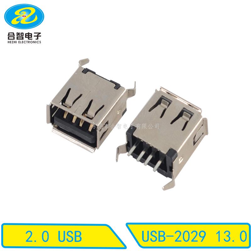 USB 2.0-USB-2029