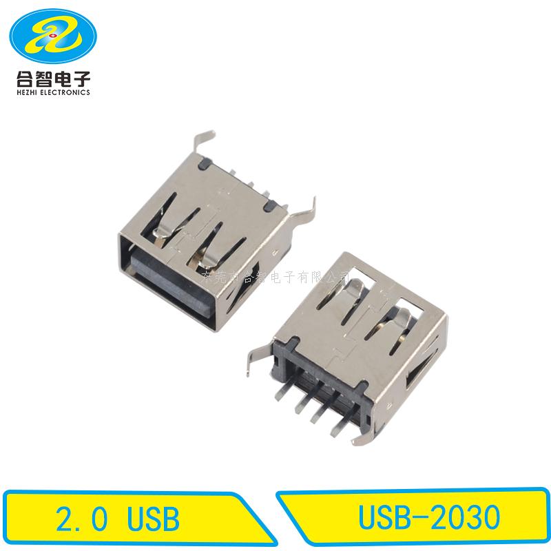 USB 2.0-USB-2030