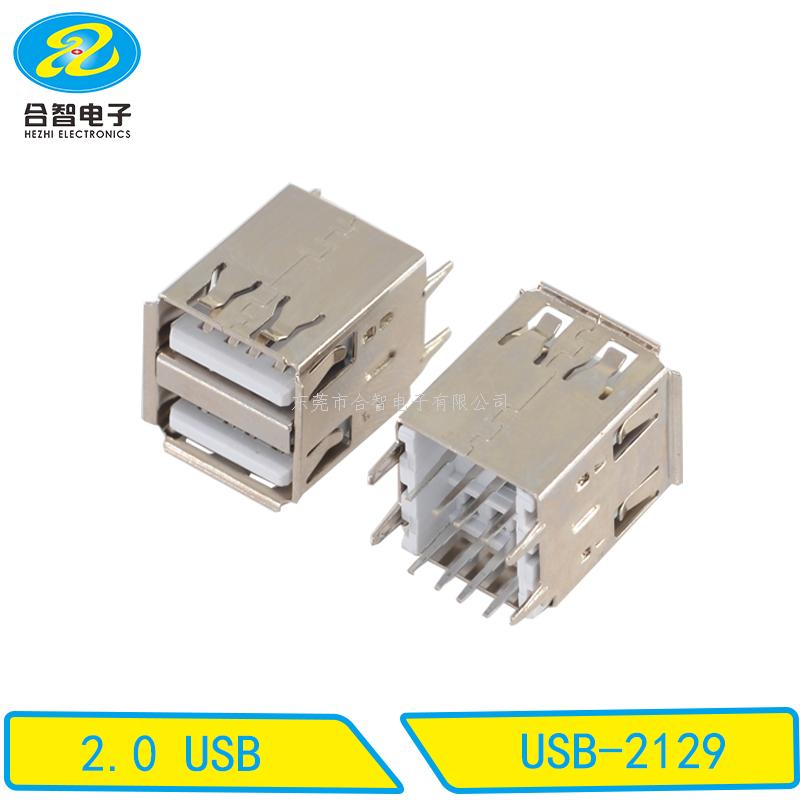 USB 2.0-USB-2129