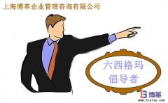 六西格瑪管理中倡導(dǎo)者的職責(zé)是什么？