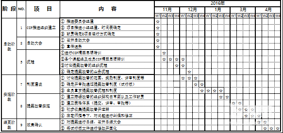 CIP項(xiàng)目推行計劃表